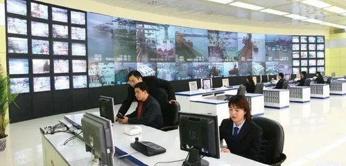 專(zhuān)業(yè)群巡禮 青島港灣職業(yè)學(xué)院信息技術(shù)專(zhuān)業(yè)群，信息技術(shù)咨詢(xún)服務(wù)探析